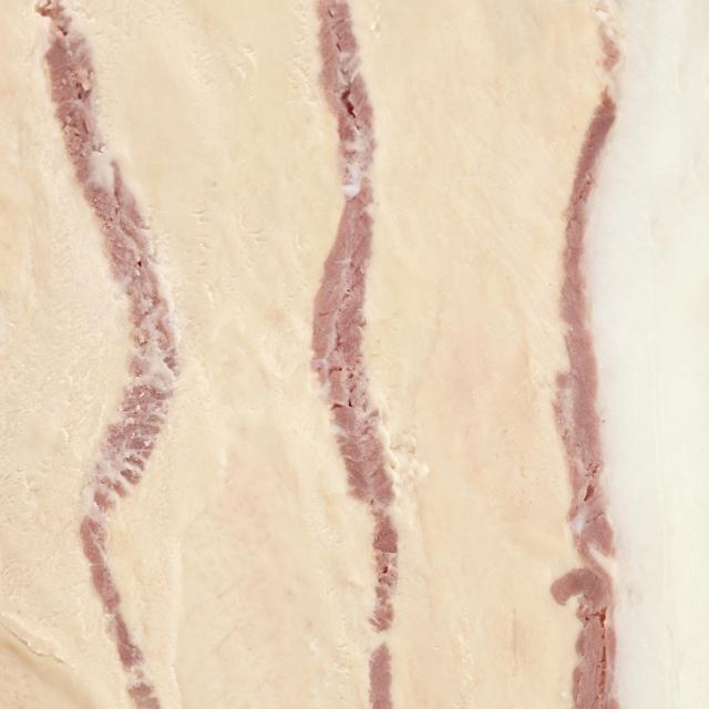 Bloc terrine ganzenlever met confit de canard