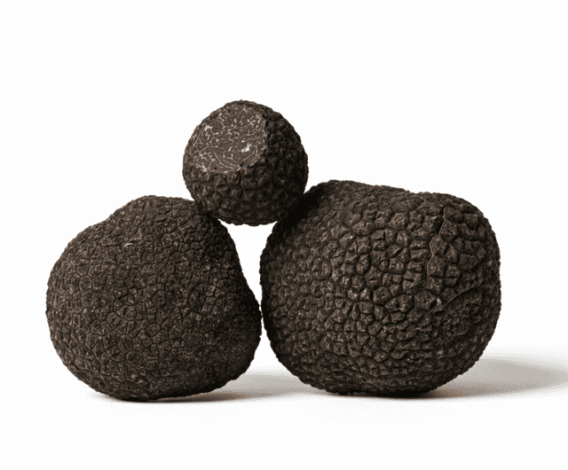 Bevroren wintertruffel  