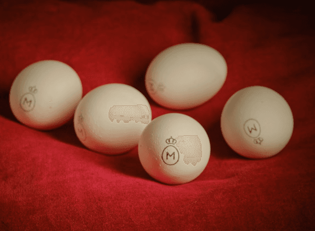 Marigold Queen of Eggs (DOOS GROOT)