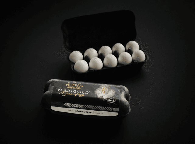 Marigold Queen of Eggs (DOOS KLEIN)