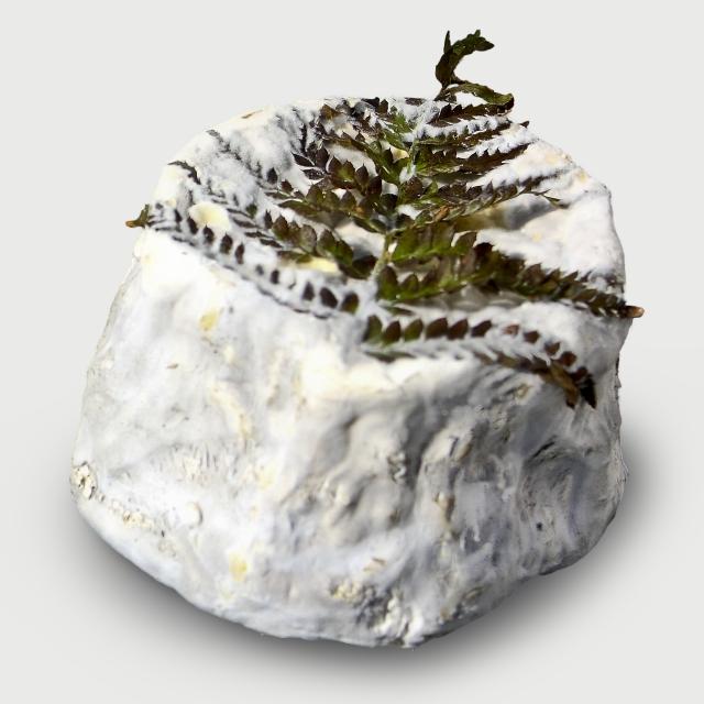 Cacioricotta gerijpt, kg